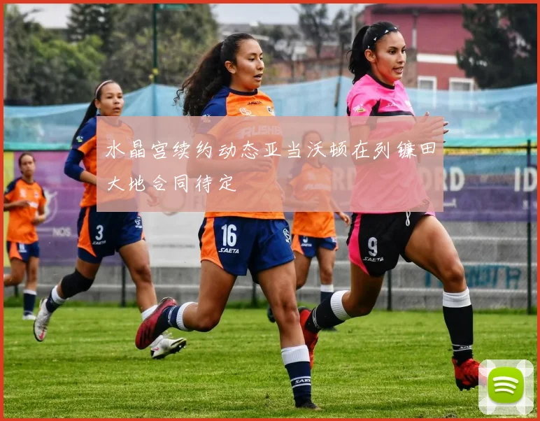 水晶宫续约动态亚当沃顿在列镰田大地合同待定